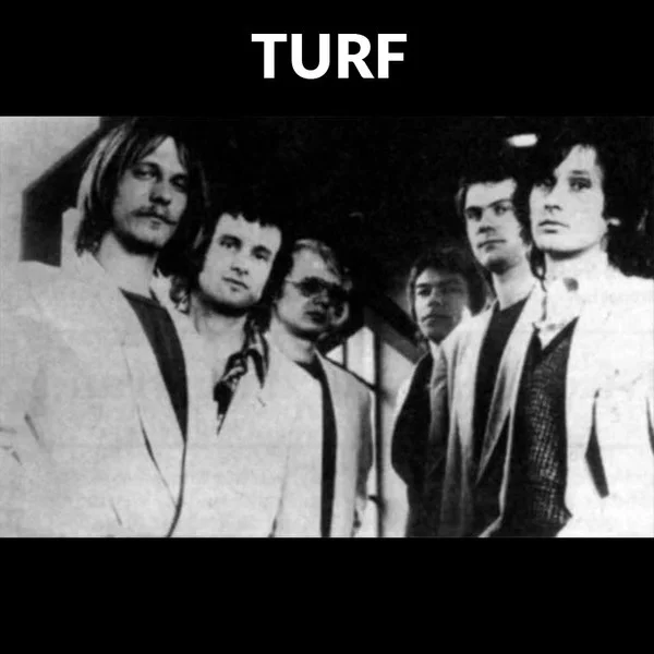 + zoef | TURF