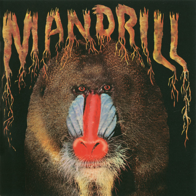The Last Mandrill